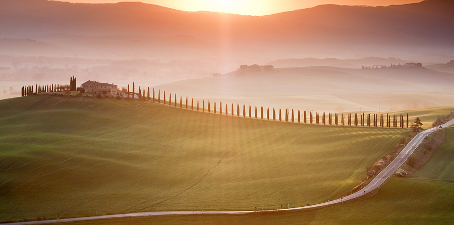 Morning In Vald'orcia